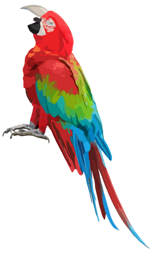 Shouty Parrot - Parrot 1 Facing Left Transparent Background