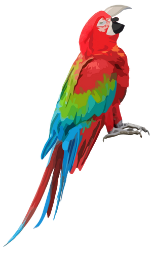 Shouty Parrot - Parrot 1 Facing Right Transparent Background
