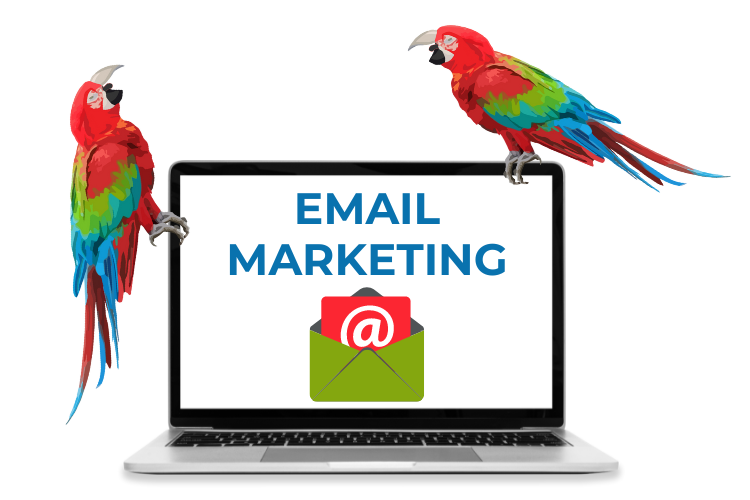 Shouty Parrot Laptop Showing Email Marketing Icon