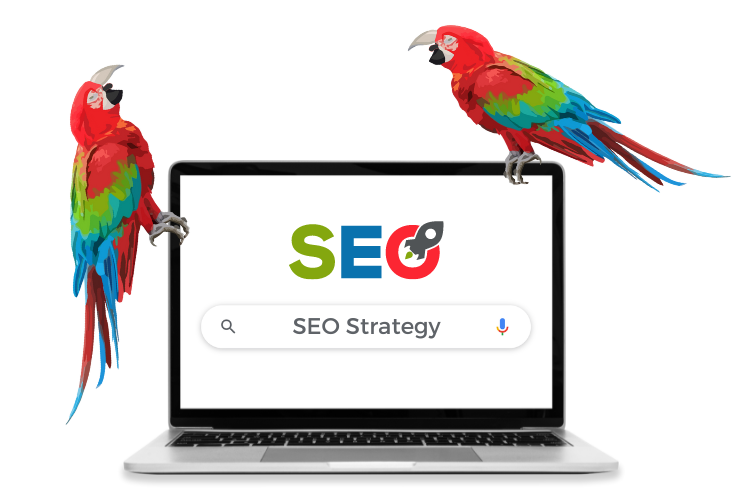 Shouty Parrot Laptop Showing an SEO Search for SEO Strategy