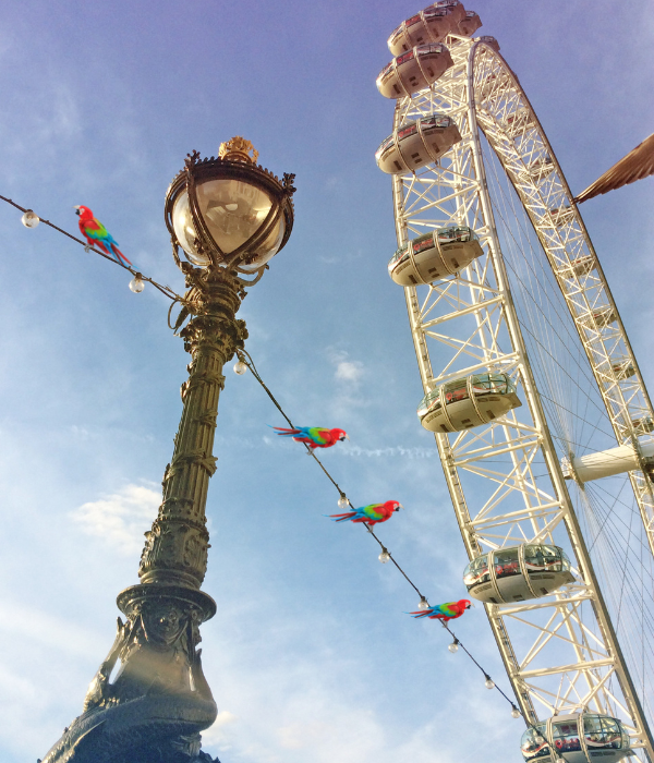 Shouty Parrot SEO &amp; Digital Marketing parrots sitting on London Eye