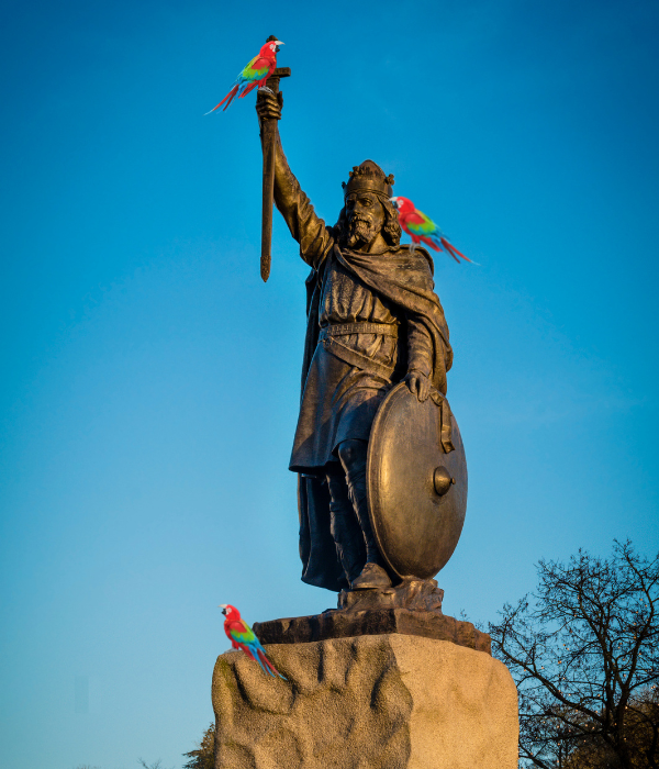 Shouty Parrot SEO &amp; Digital Marketing parrots sitting on King Alfred's statue in Winchester